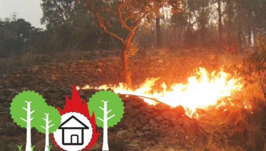 QUEIMA DE SOBRANTES. COMO PROCEDER?