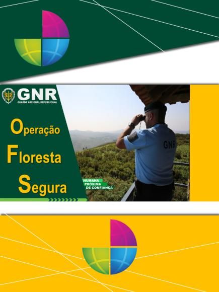 DEFESA DA FLORESTA CONTRA INCÊNDIOS - MANUTENÇÃO DAS FAIXAS DE GESTÃO DE COMBUSTÍVEIS